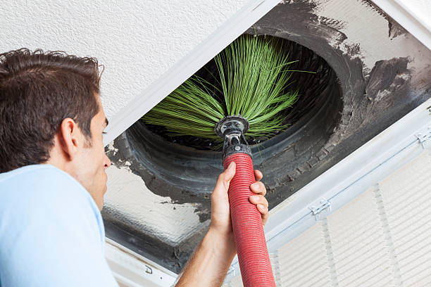 Best HVAC System Cleaning  in Port Byron, IL